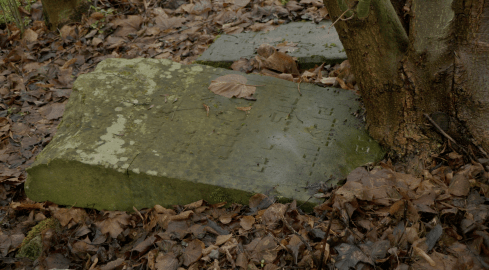 Czarnkowskie macewy policzone - grafika