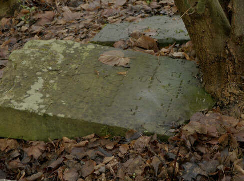 Czarnkowskie macewy policzone - grafika