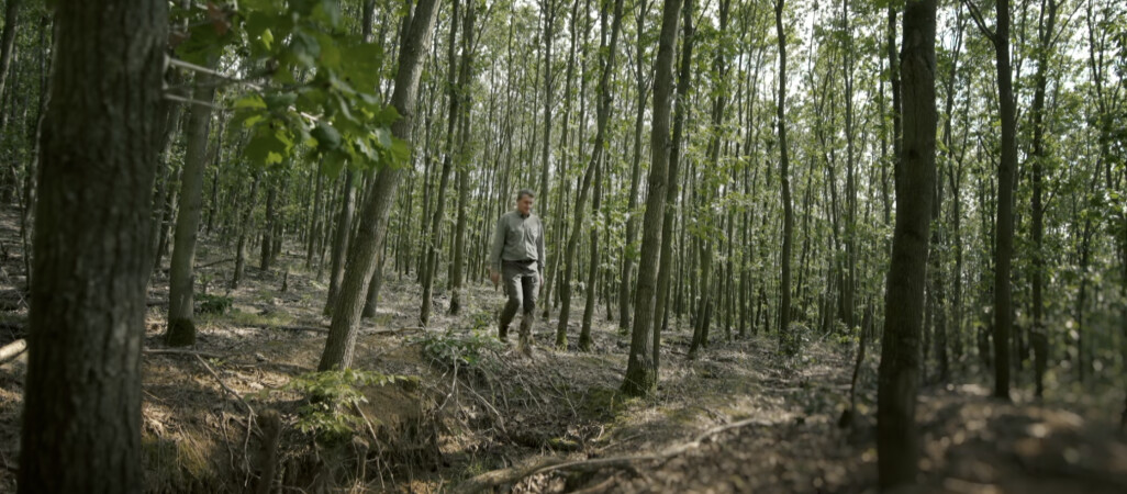 Afrykańska gleba w Polsce