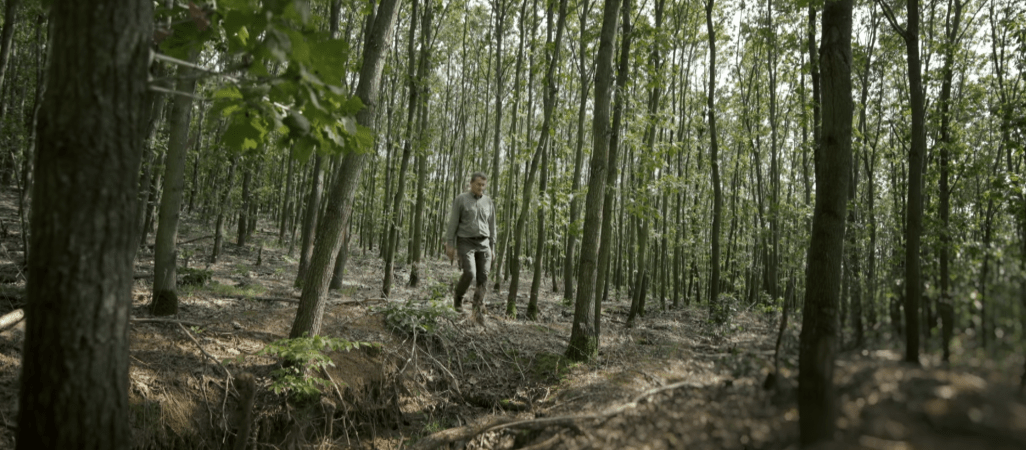 Afrykańska gleba w Polsce