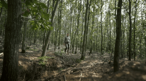 Afrykańska gleba w Polsce - grafika