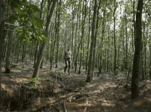 Afrykańska gleba w Polsce - grafika