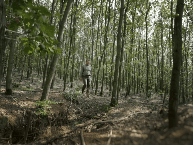 Afrykańska gleba w Polsce - grafika