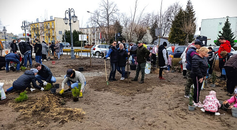 Likwidują betonozę w czynie społecznym - grafika