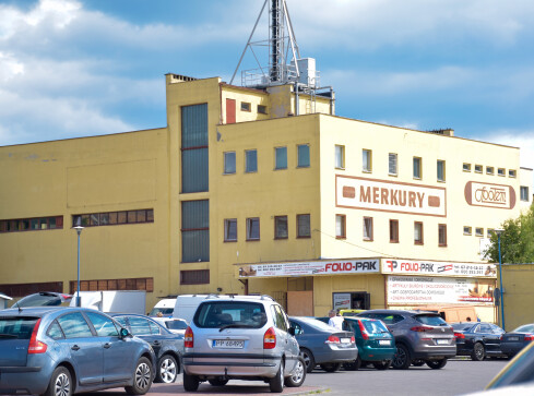 Spora wygrana w Pile - grafika