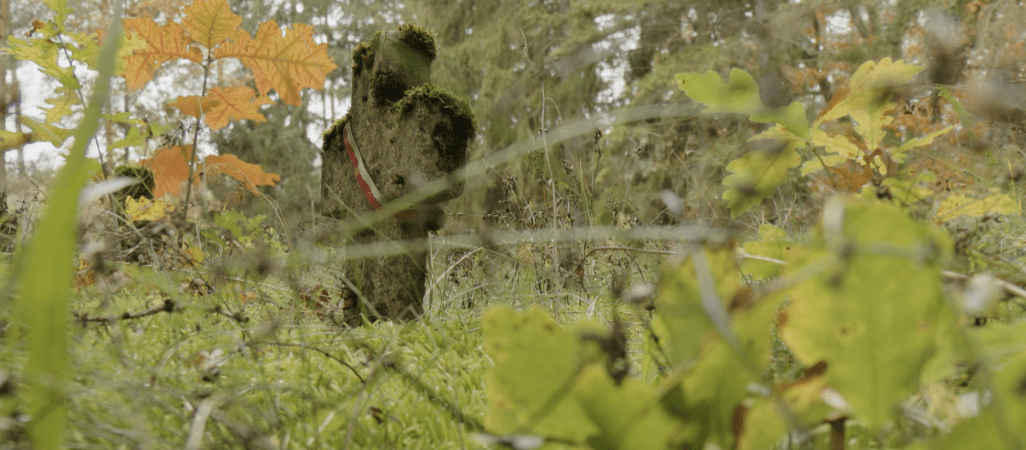 Stary cmentarz pełen tajemnic