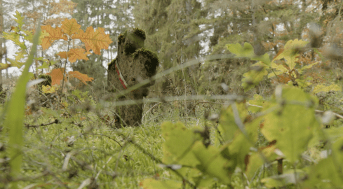 Stary cmentarz pełen tajemnic - grafika