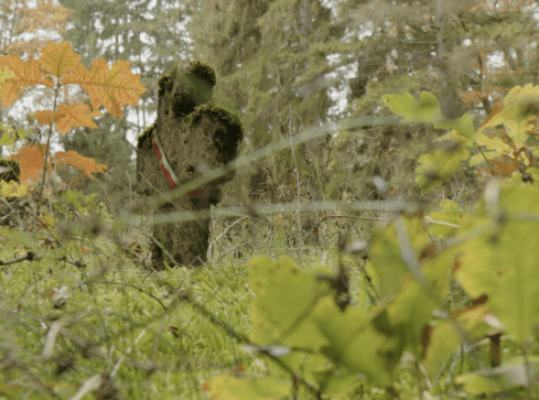 Stary cmentarz pełen tajemnic - grafika