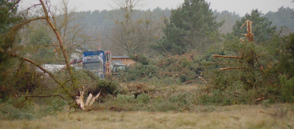 Wycinają drzewa przy lotnisku. Będzie tu galeria handlowa