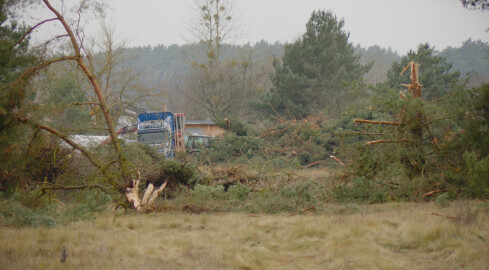 Wycinają drzewa przy lotnisku. Będzie tu galeria handlowa - grafika