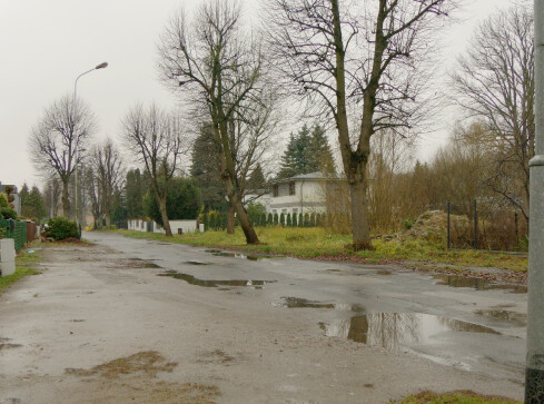 Durszlak czy ulica? - grafika