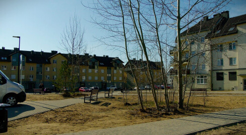 Wielkopolska walczy z betonem. 39 gmin otrzyma dotacje na zielone inwe - grafika