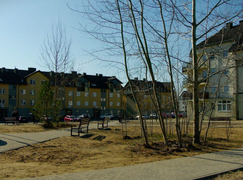 Wielkopolska walczy z betonem. 39 gmin otrzyma dotacje na zielone inwe - grafika