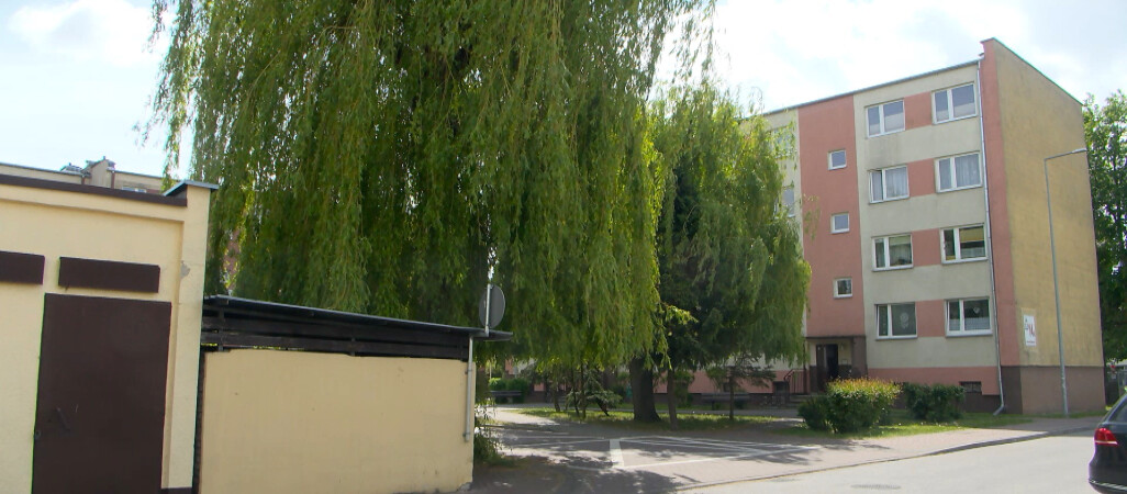 Pół miliona kary za przycinkę drzew anulowane