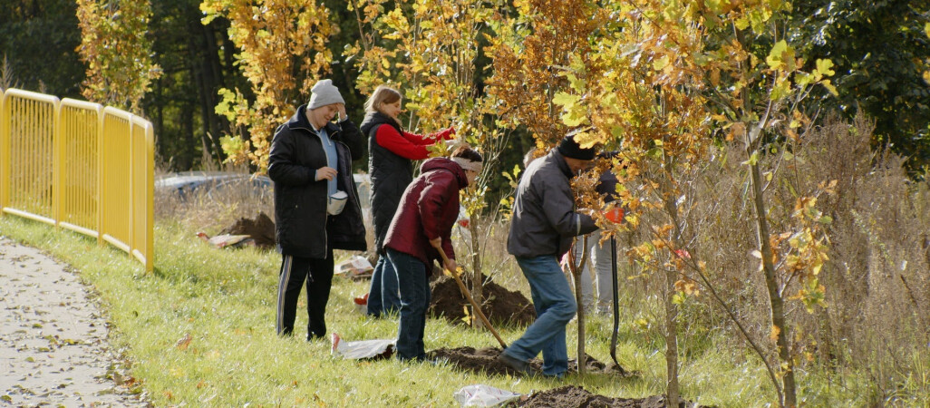 Od 30 pielęgnują tradycję sadzenia drzew w mieście