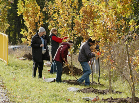 Od 30 pielęgnują tradycję sadzenia drzew w mieście - grafika