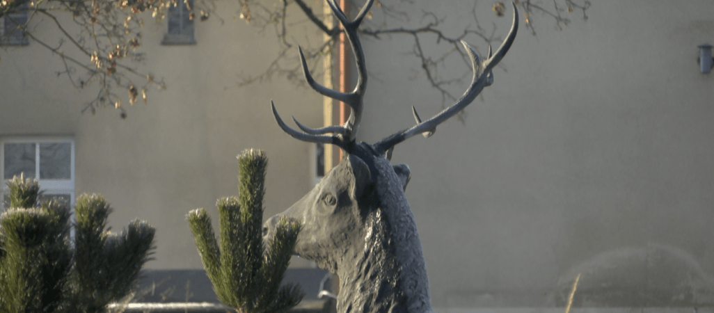 Można bez długu? Można