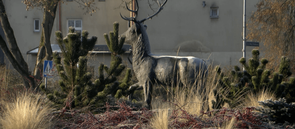 Trwa plebiscyt. Mieszkańcy mogą wybrać najlepsze osoby