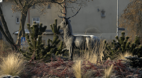 Trwa plebiscyt. Mieszkańcy mogą wybrać najlepsze osoby - grafika