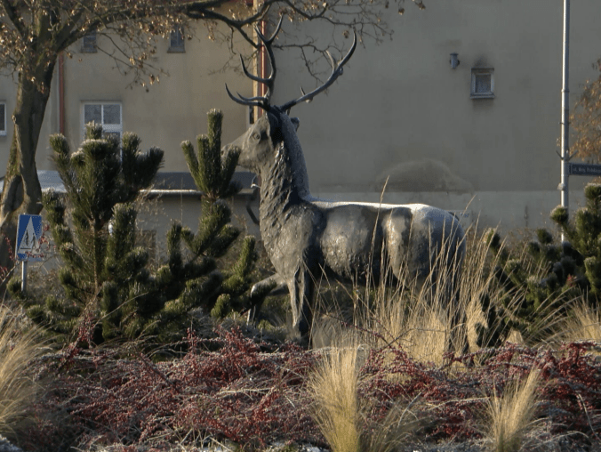 Trwa plebiscyt. Mieszkańcy mogą wybrać najlepsze osoby - grafika