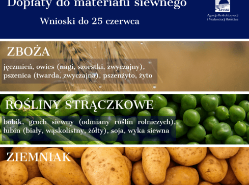 Materiał siewny 2020: finał naboru wniosków - grafika