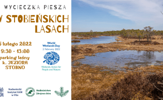 Dziś Dzień Mokradeł. Przyrodnicy zapraszają na wyprawę 