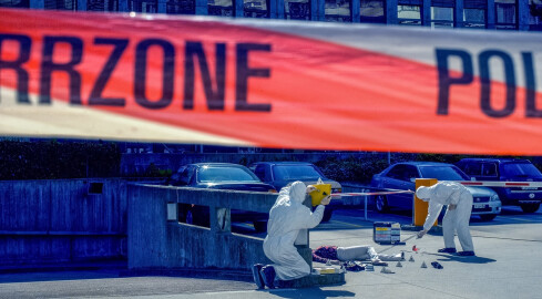 Kryminalistyka z kryminologią i magisterska ekonomia, czyli studencki - grafika