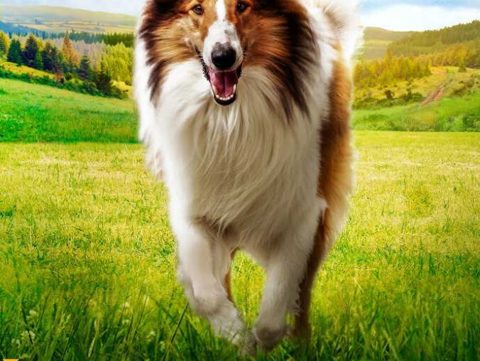 Helios zaprasza na ekscytujące seanse! - grafika