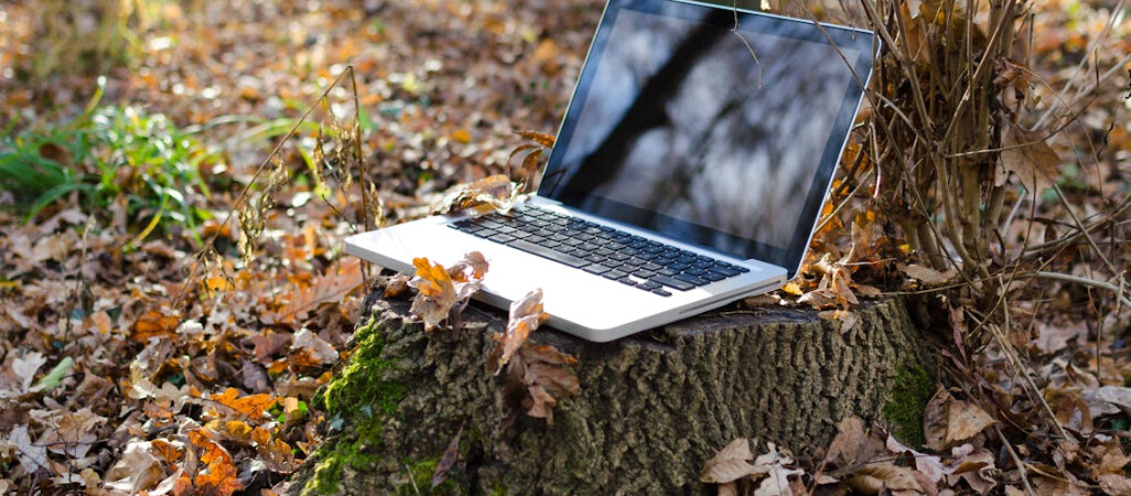 Pracuj w Urzędzie Gminy Szydłowo