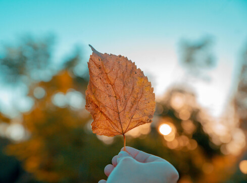 Przegląd Pogody: Co Czeka Nas w Nadchodzących Dniach? - grafika