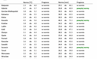 Czeka nas ciepła zima - prognozują synoptycy 