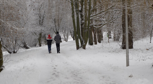 Atak zimy. Milionowe wydatki na odśnieżanie - grafika