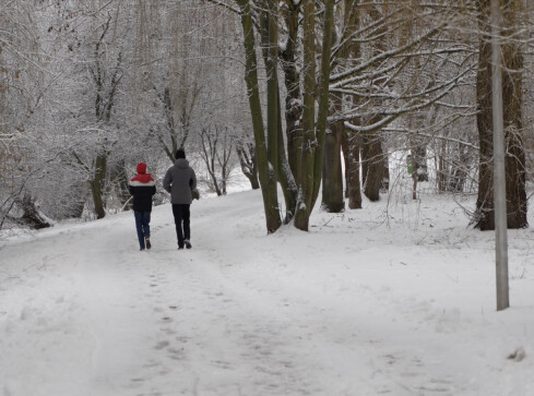 Atak zimy. Milionowe wydatki na odśnieżanie - grafika