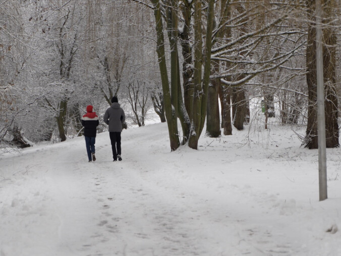 Atak zimy. Milionowe wydatki na odśnieżanie - grafika
