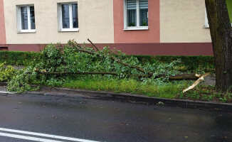 Usuwanie skutków nawałnicy