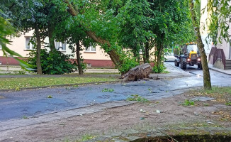 Usuwanie skutków nawałnicy