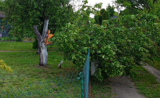 Usuwanie skutków nawałnicy