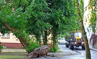 Usuwanie skutków nawałnicy