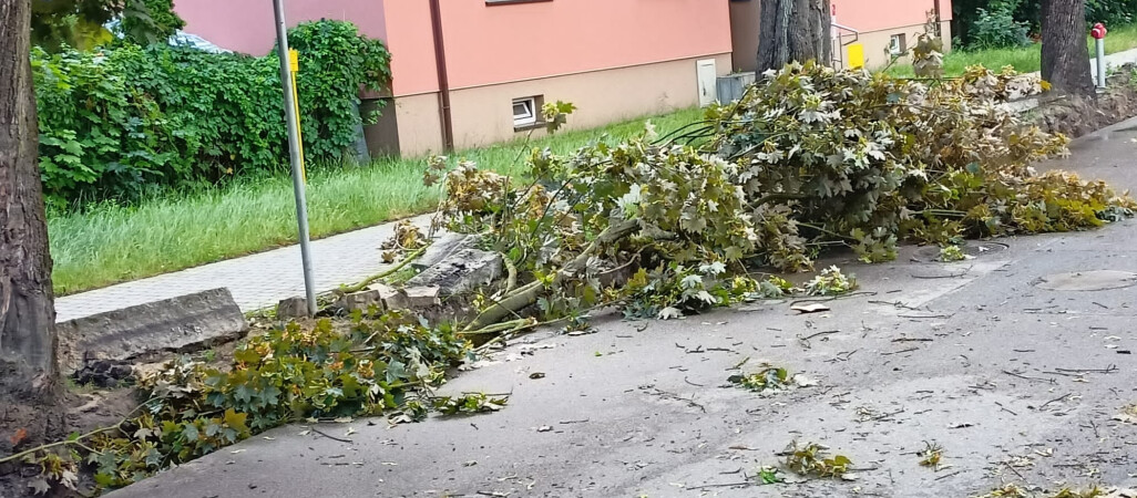 Usuwanie skutków nawałnicy