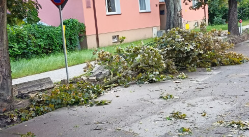 Usuwanie skutków nawałnicy - grafika