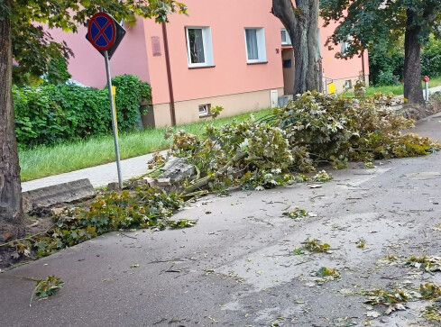 Usuwanie skutków nawałnicy - grafika