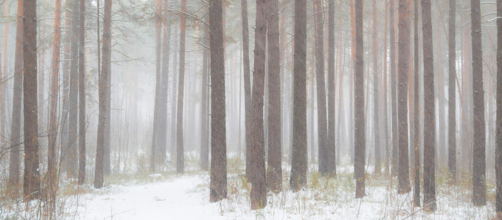 Krótka odwilż i powrót mrozów