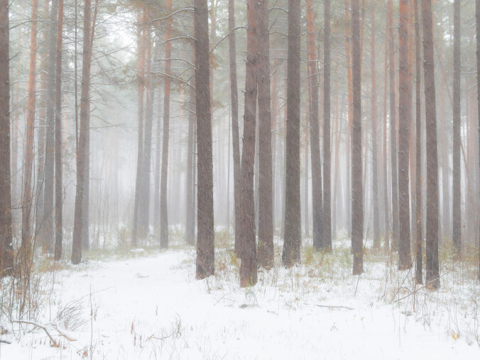 Krótka odwilż i powrót mrozów - grafika