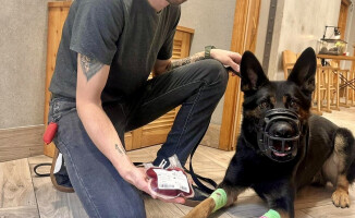 Psia krew, czyli policyjny pies został dawcą krwi