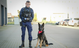 Psia krew, czyli policyjny pies został dawcą krwi
