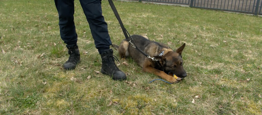 Suczka Warna rozpoczęła służbę w Policji