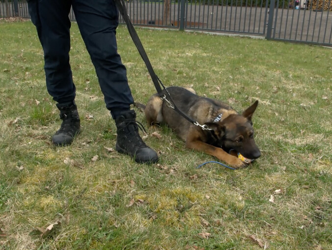 Suczka Warna rozpoczęła służbę w Policji - grafika
