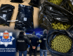 Białorusin zatrzymany przez policję - grafika