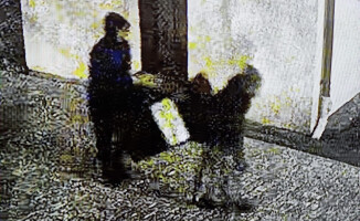 Ukradli kościelną skarbonę