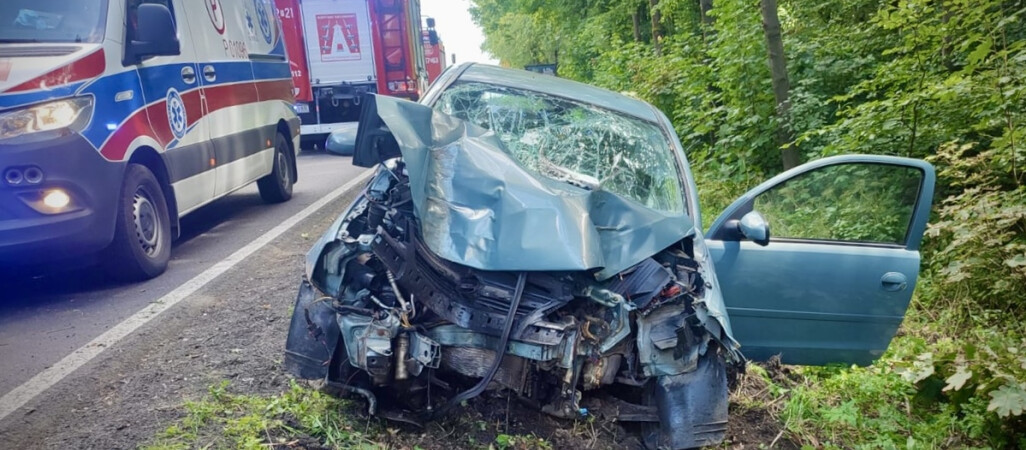21-latka miała ponad promil alkoholu